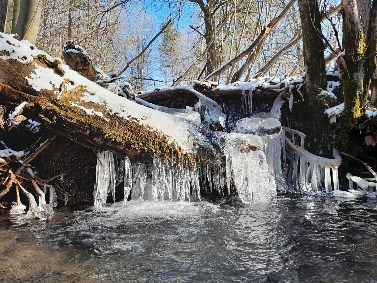 Apartmán Kuznia Nowica Uscie Gorlickie Exteriér fotografie