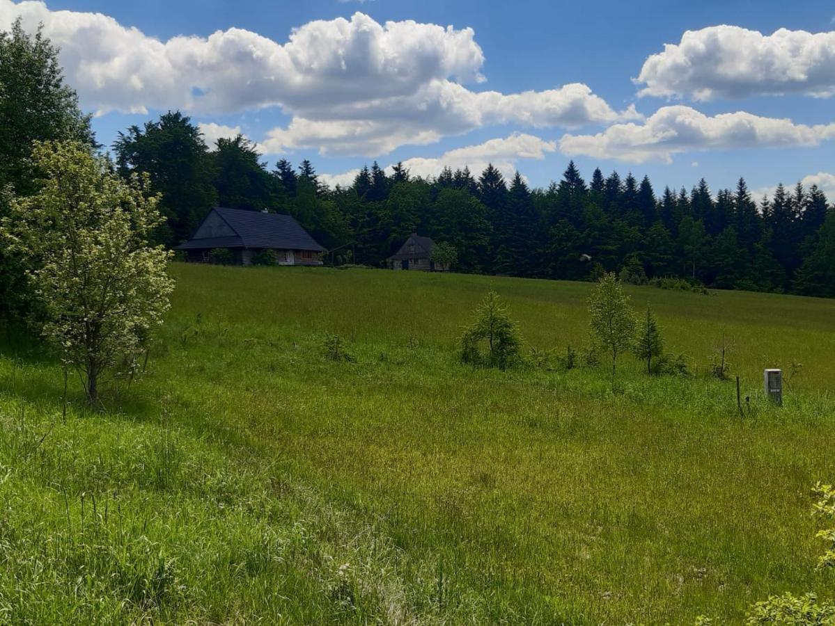 Apartmán Kuznia Nowica Uscie Gorlickie Exteriér fotografie